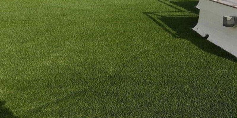 The Design of Artificial Grass and How Does it Work
